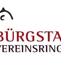 Logo Vereinsring Bürgstadt.jpg